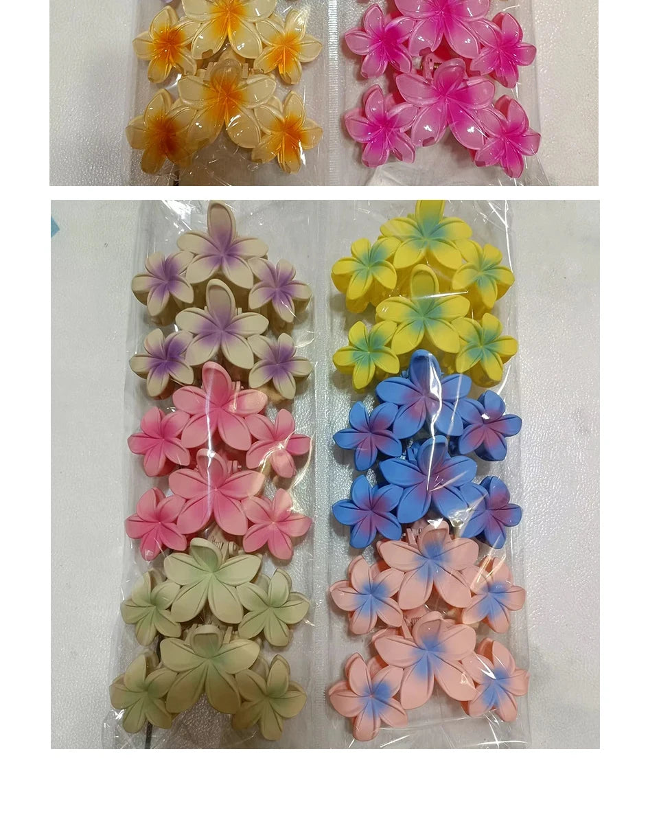 11CM Frangipani Flower Gradient Shark Clip – Hairpin Headband for Women & Girls
